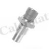 CALORSTAT by Vernet WS2539 Sensor, coolant temperature